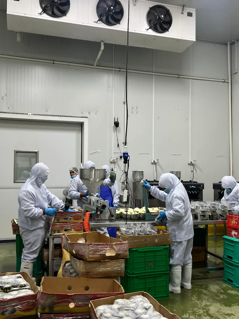 Dolce de Oro factory — interior