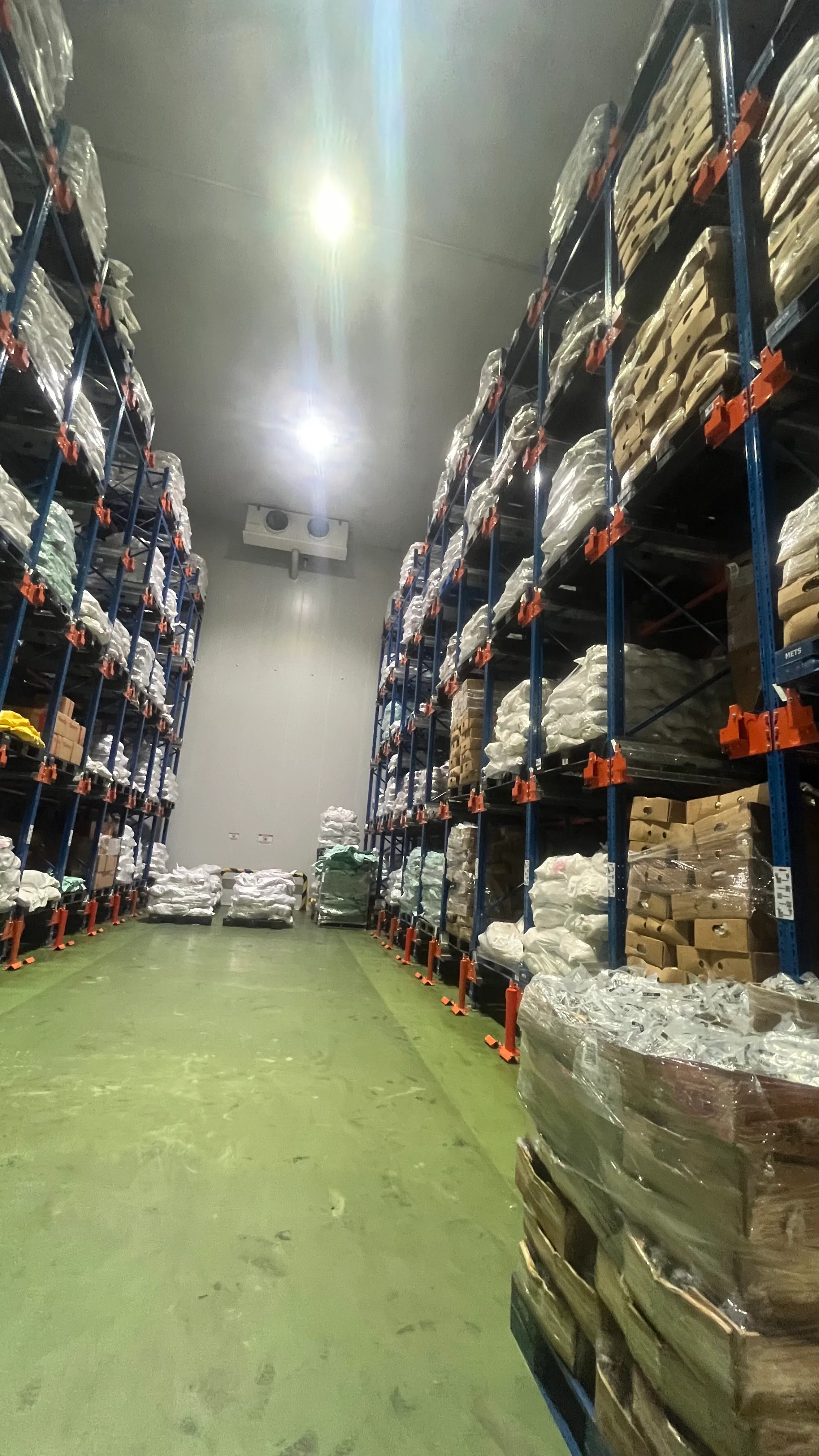 Dolce de Oro factory — blast freezing